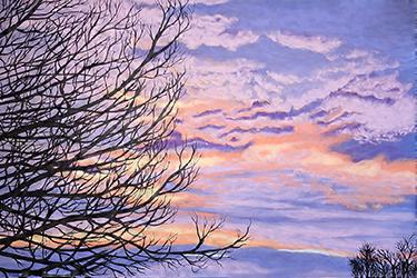 Ciels/Skies/空たち