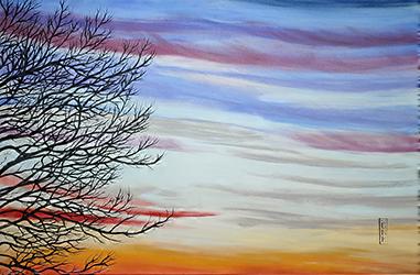 Ciels/Skies/空たち