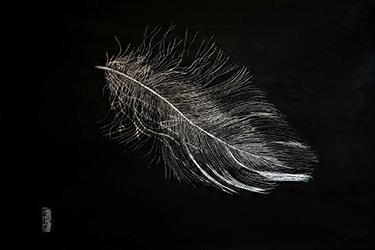 D'un souffle à l'autre/From One Breath to Another/一息一風