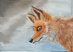 Animaux/Wild life/野生動物