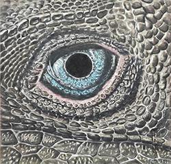 Animaux/Wild life/野生動物