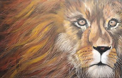 Animaux/Wild life/野生動物