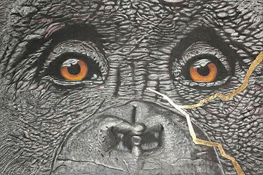 Animaux/Wild life/野生動物